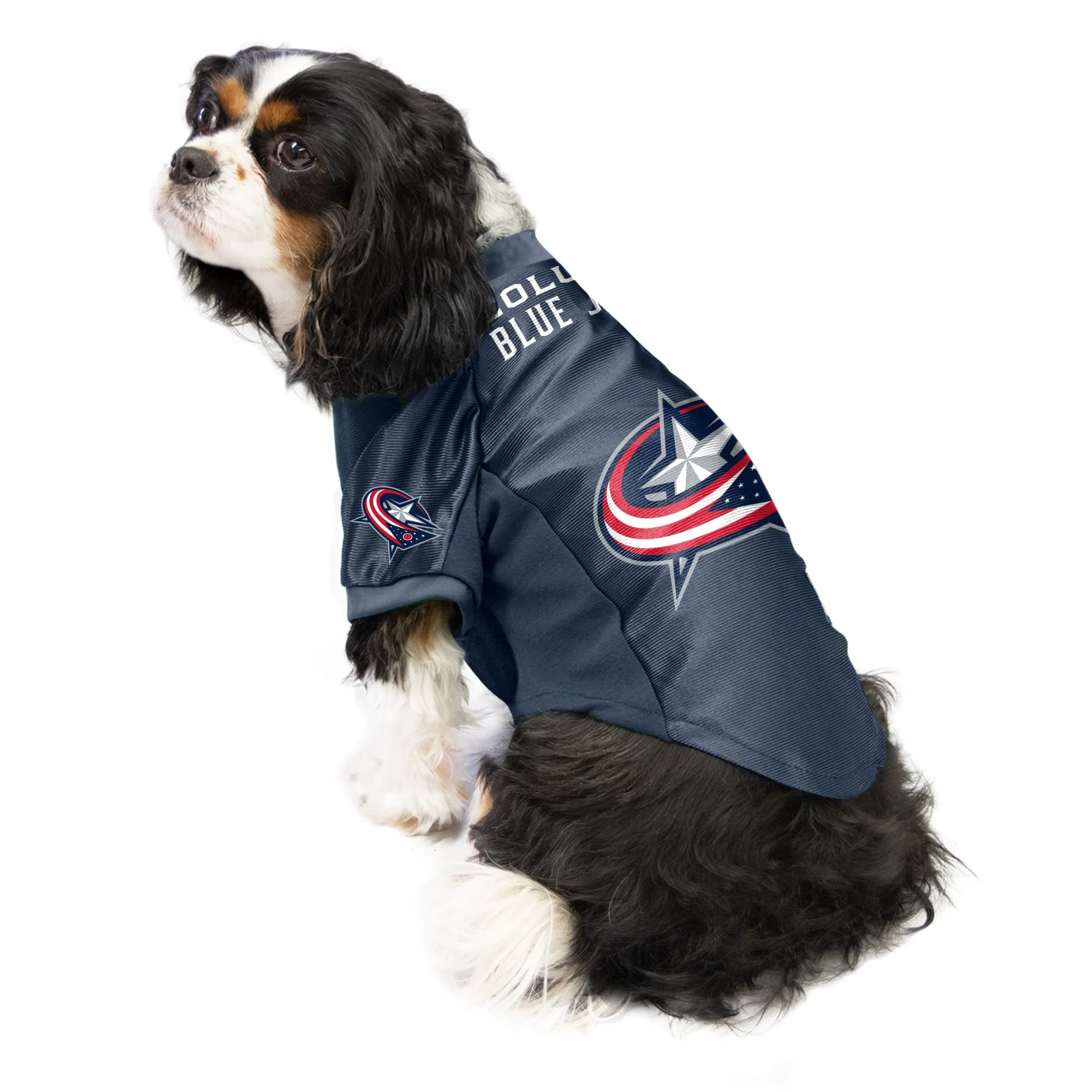 Columbus Blue Jackets Pet Stretch Jersey
