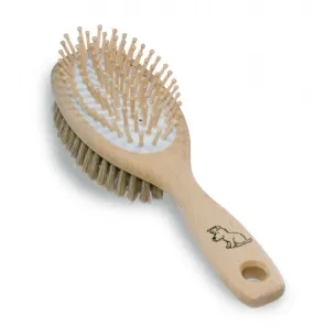 Dog Brush