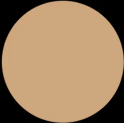LUXURY GODDESS Cashmere Matte Foundation - C8 Warm Yellow