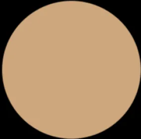LUXURY GODDESS Cashmere Matte Foundation - C8 Warm Yellow